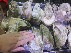 -蚝专家(北滘店)