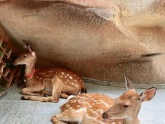 -杭州开元森泊度假乐园