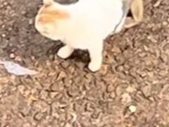 -昆明动物园