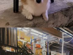 -小梁哥云吞面(黄贝岭店)