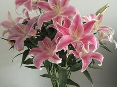 -爱尚幸福鲜花(上地实体店)