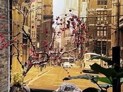 -老伙记海鲜码头(北滘店)