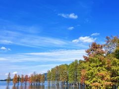 -四明湖
