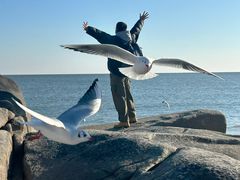 -老虎石海上公园