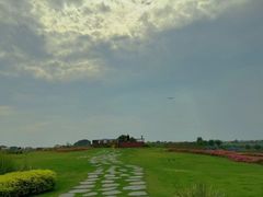 -空港花田景区