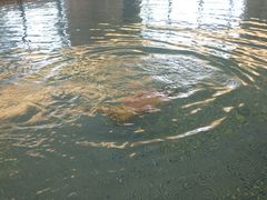 -舟山希尔顿酒店