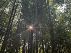 -泰山风景名胜区-普照寺