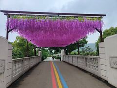 -苏州太湖西山岛开心农场