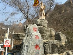 -大岭沟猕猴桃谷风景区