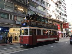 -Big Bus Tours 敞篷观光巴士