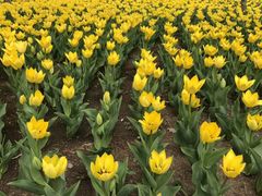 -长春公园(普阳街道)