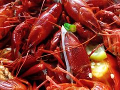-蚝翅·海鲜粥·烧烤·宁夏滩羊季(玉米楼店)