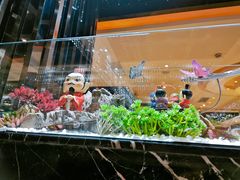 -红辣椒·川菜·火锅(张杨路店)