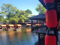 -侨美·唐荔园·40年地道粤菜