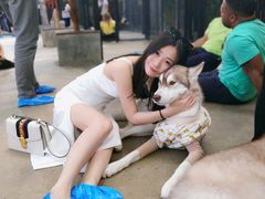 -TrueLove @ Neverland (Husky Cafe)