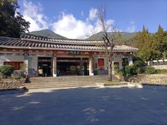 -蝴蝶泉公园