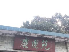-北京麋鹿生态实验中心