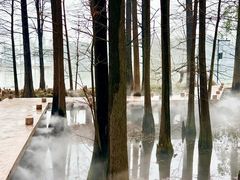 -东湖落雁景区