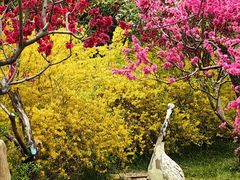-莲花池公园