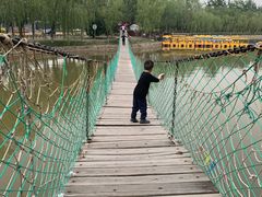 -杨柳青庄园