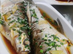 -大莲湖农家乐(青西郊野公园店)