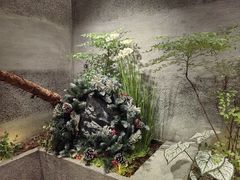 -莺花渡火锅City Green(万象城店)