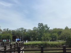-盐城丹顶鹤湿地生态旅游区