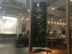 -悦诗风吟innisfree