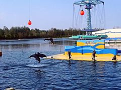 -秦皇岛乐岛海洋王国