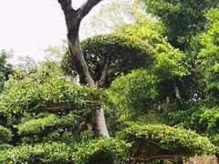 -南宁南湖公园