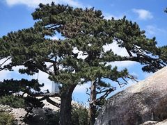-华山风景名胜区