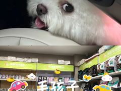 -瑞鹏宠物医院·眼科·皮肤·中兽医(大悦城分院)