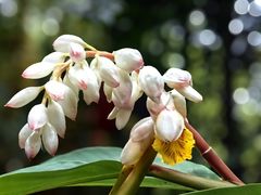 -广州长隆野生动物世界