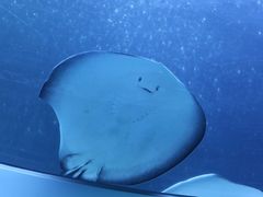 -珠海长隆海洋王国