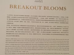 -德基艺术博物馆