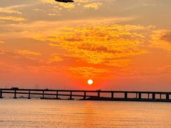 -宝安西湾红树林湿地公园