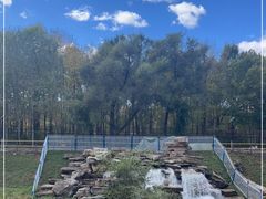 -黑龙江省森林植物园