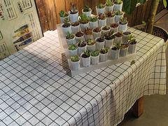 -木屋烧烤(白石洲店)