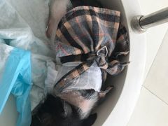 -怪兽屋·羊驼·猫咖·狗咖(俊华广场店)