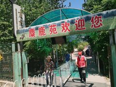 -北京麋鹿生态实验中心