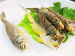 小黄鱼-咕叽咕叽自助烤肉小火锅(西城广场购物中心店)