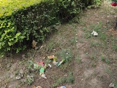 -黄河富景生态世界