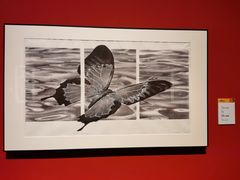 -江苏省美术馆(长江路新馆)