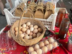 -马陆小张葡萄园农家乐