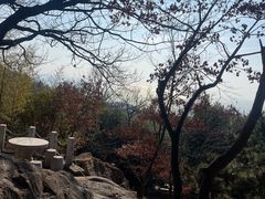 -石老人观光园