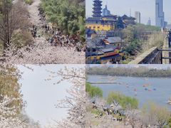 -南京城墙景区