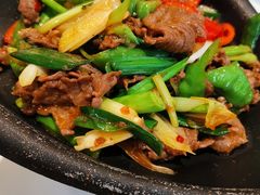干锅驴肉-培万河间驴火•驴肉火锅(东平店)