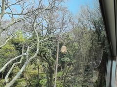 -普陀山风景名胜区-法雨禅寺