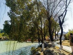 -明月山天沐温泉度假村