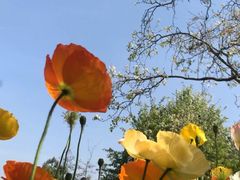 -名花谷生态庄园